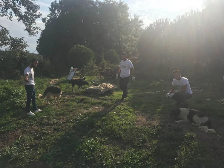 AK Partili gençlerden hayvanlar günü hassasiyeti 2