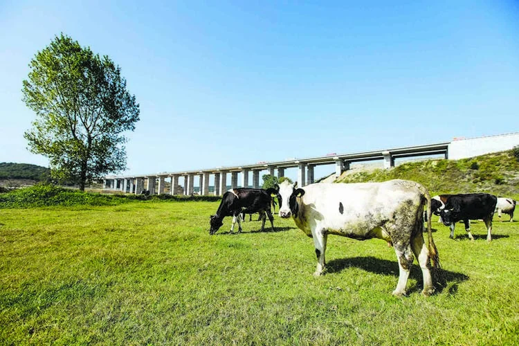 Beykoz'un güzelliklerini okurken yaşayacaksınız 5 alibahadir 2 LaK4 MB6kI