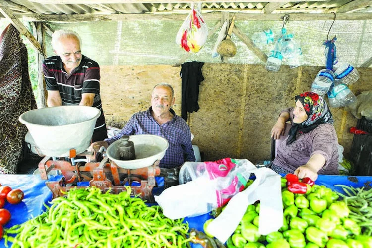 Beykoz'un güzelliklerini okurken yaşayacaksınız 4 alibahadir 4 Ee8dJTXG9T
