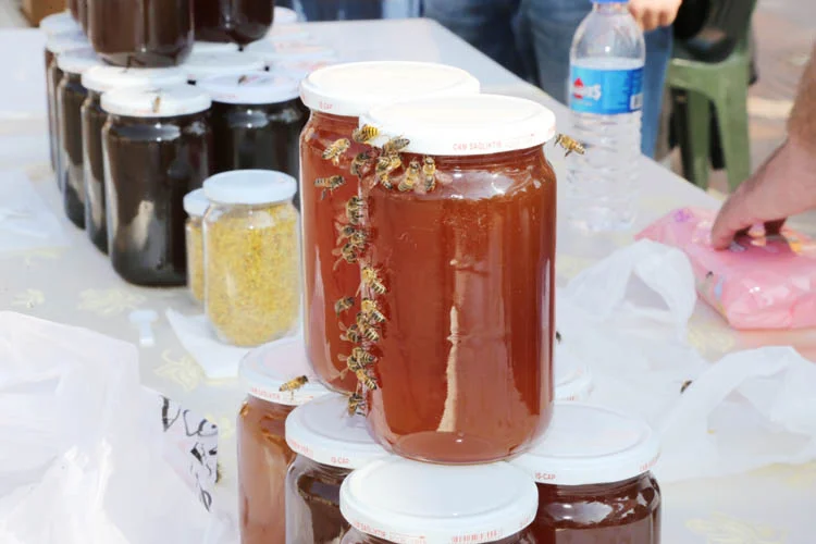 Uluslararası Arıcılık Kongresi Beykoz'da yapılacak 1 ari kong 2 72MAUNeA4p