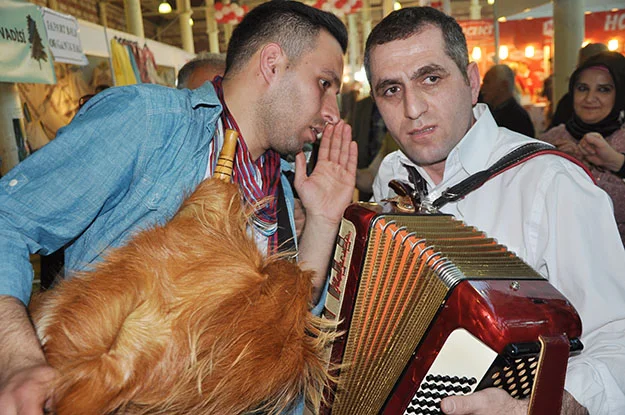 artvin feshane db secili 54 TRjfJXk0jC