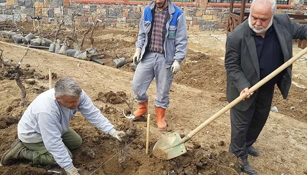 Beykoz’da hasat bu yaz alınacak… 1 bah ePgr406WVG