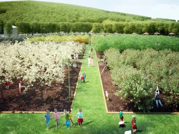 Beykoz'a Hobi'den sonra Meyve Bahçesi... 1 bahce beykoz 1 DX7384kLIe