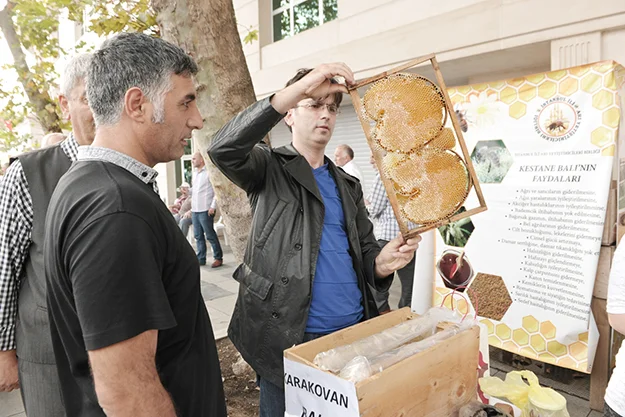 Beykoz’un arıcılarına Belediye'den 1300 kovan 3 bal festivali beykoz 20 ev9doX8f24