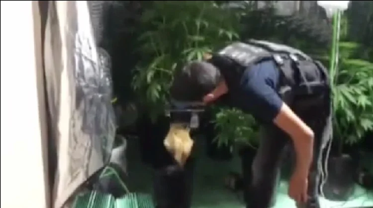 Beykoz Yalıköy'de lüks villaya uyuşturucu baskını 3 bas 4 9mGipyQ7h