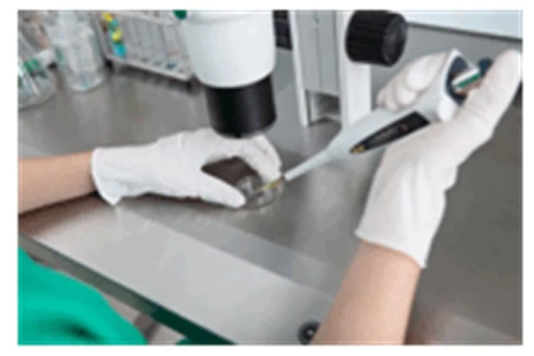 Kıbrıs tüp bebek merkezleri ile çocuk sahibi olmak 1 bebek2 kj0Kn9z42k