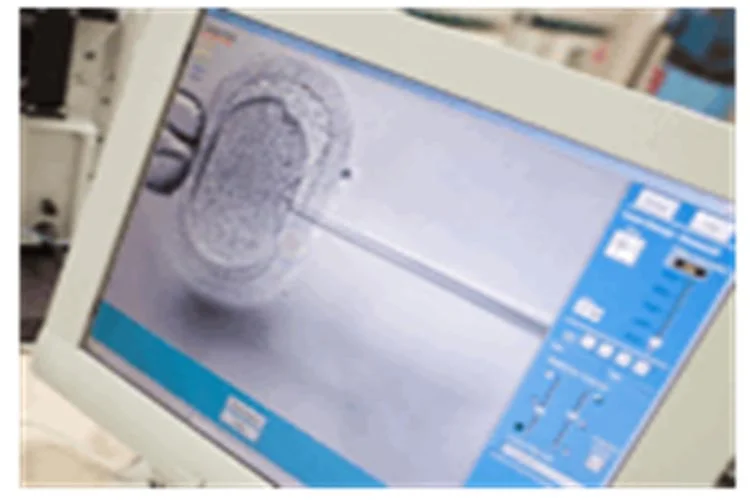 Kıbrıs tüp bebek merkezleri ile çocuk sahibi olmak 2