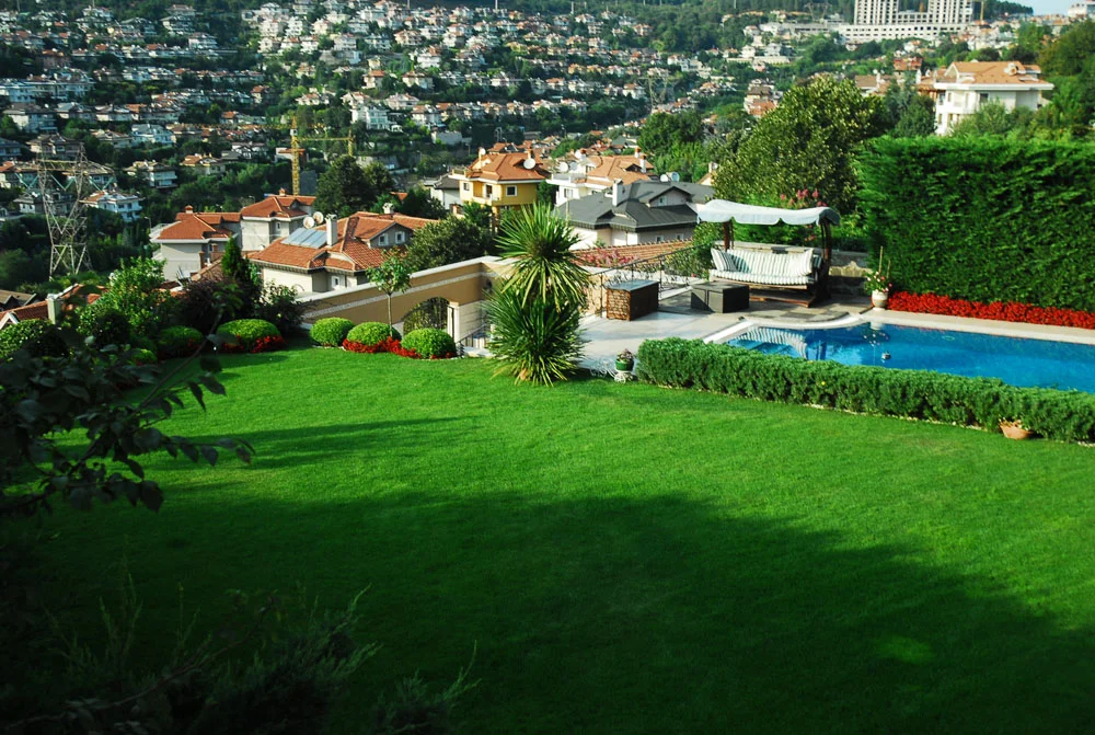 Megastar Tarkan evlenince Beykoz’da oturacak 1 bey k qPra9Ur4ww