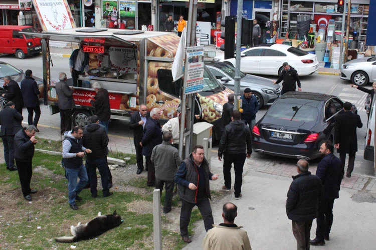 Beykoz'da kesin hayır çıkacak 6 beykoz av haluk peksen 8 DW25LJbzAZ