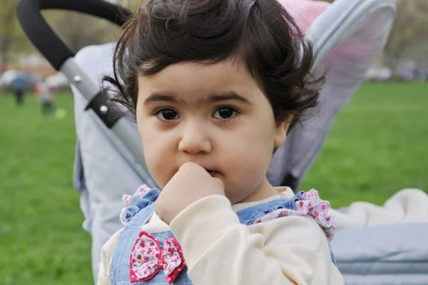 beykoz bah MAkhY n6r