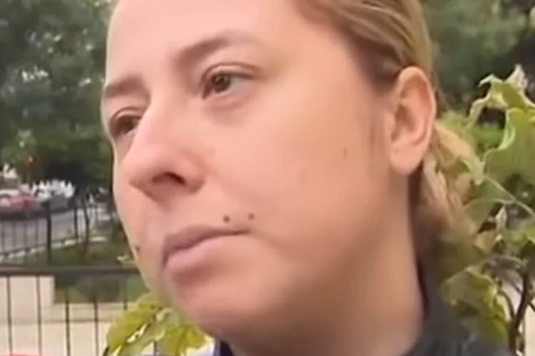 Beykoz’da hayvan katliamı iddiası 1 beykoz da hayvan katliami iddiasi N5BrD04qd2