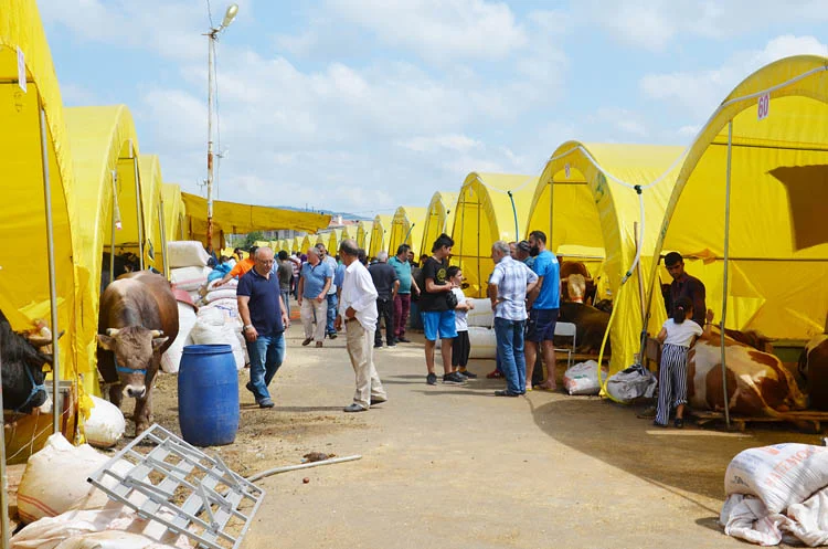 Beykoz'da kurbanlık hareketliliği sürüyor 1 beykoz kurban hareket gDN8Xne7p