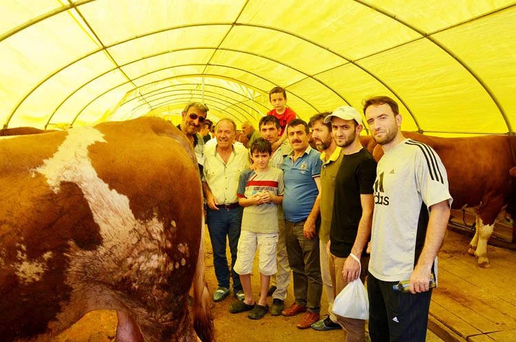 Beykoz'da kurbanlık hareketliliği sürüyor 2 beykoz kurban hareketi ByMXajVC7H