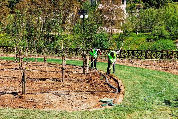 Beykoz’da Meyve Bahçeleri’ni mutlaka görün 1 beykoz meyve bahce 11 GOrUumt90D