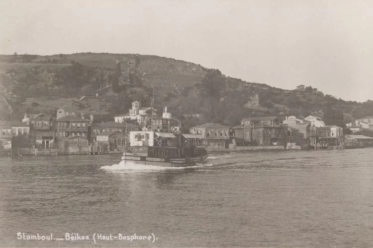 Beykoz'un arazilerine paha biçilemiyor!.. 3 beykoz sat 3 z1jhBLe3FG