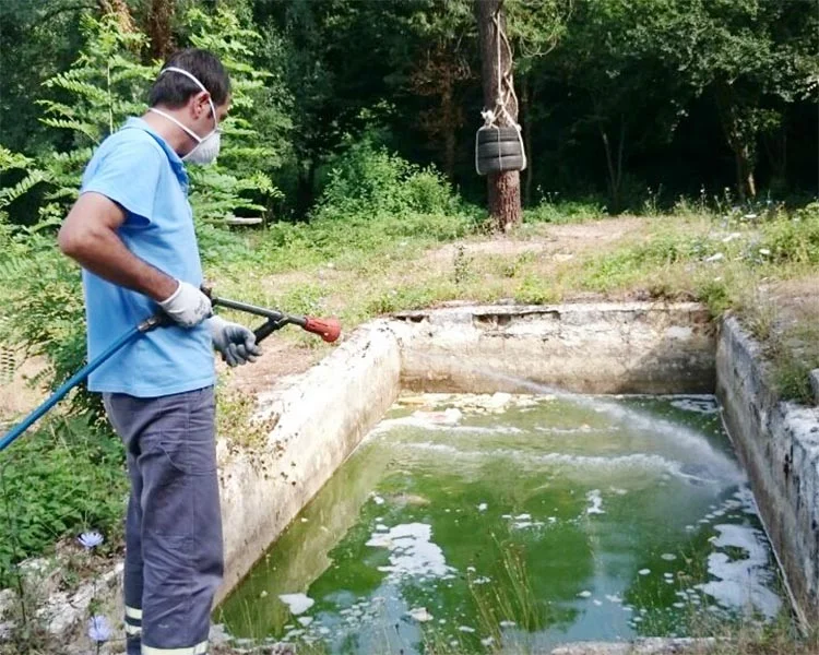 Beykoz’da sivrisinekle mücadele yöntemleri 1 beykoz sinek mucad qpvmNvewoF