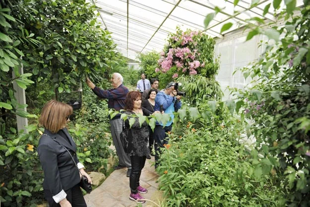 Beykoz umduğunu bulabilecek mi? 4 beykoz umdugunu bulacakmi 7 qFQbCBSTMK