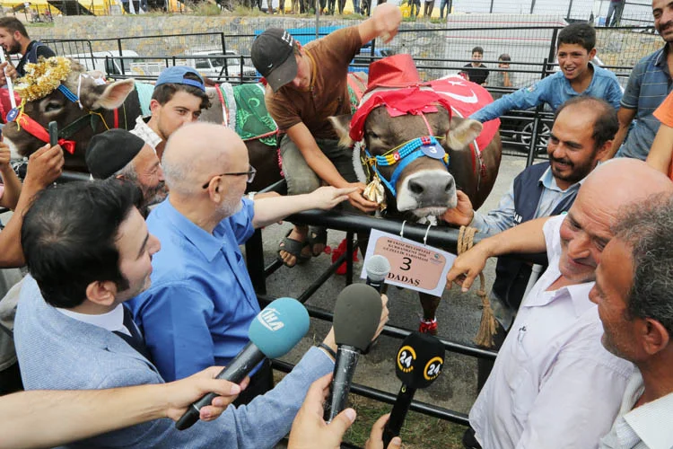 Beykoz'un kurbanları görücüye çıktı 1 beykozunkurbanlarigorucuyecikti 6 a1cWModNKg