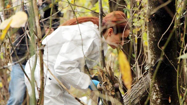 Beykoz'da ormanlık alanda parçalanmış ceset bulundu 1 cesed ry8MuwO3A4