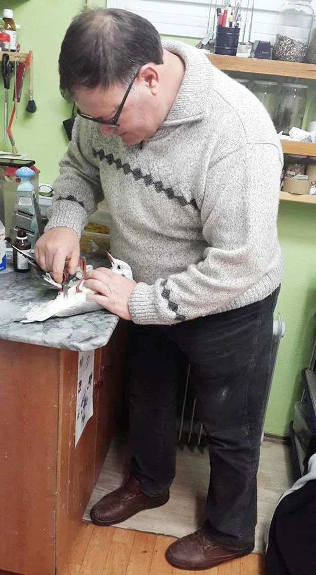 Beykozlular yaralı martıya nefes oldu 2 cinar marti d B46PgEPy0o