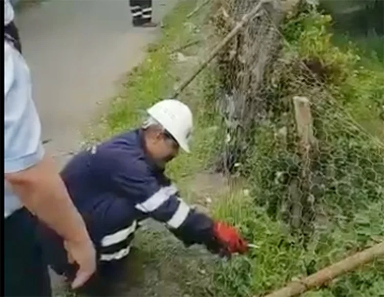 İBB Zabıtaları Beykoz’da çitlere eğildi 3 cit yik x9 yBytzvd