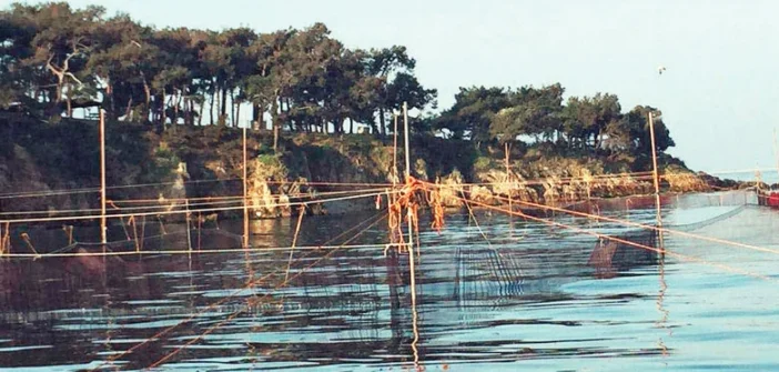 Beykoz’da dalyan kuracak 1 da TLjn5FHmNm