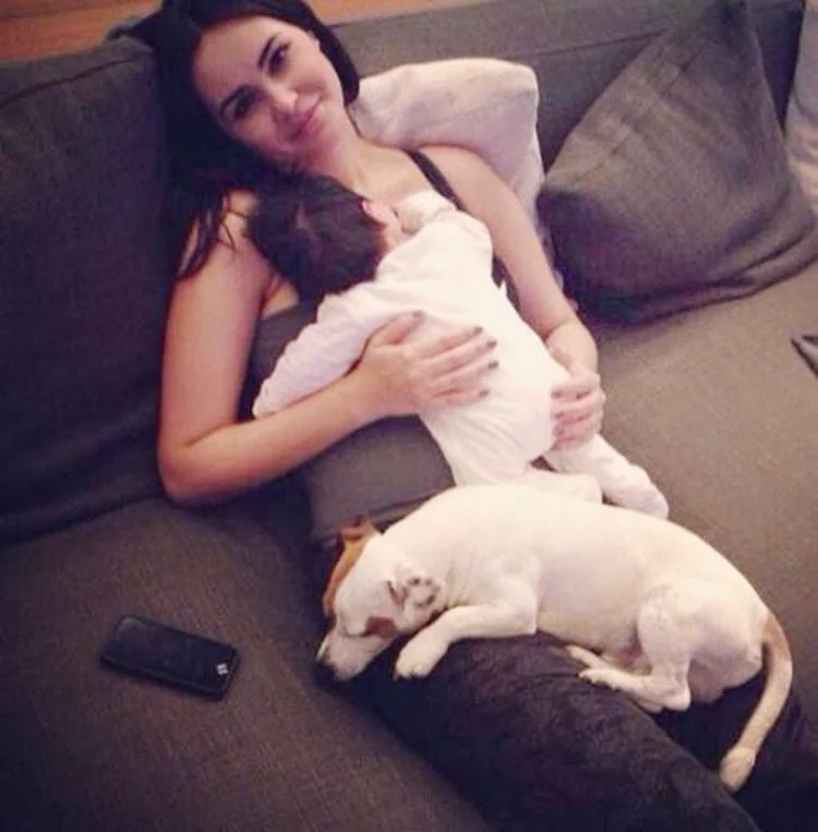 Beykoz’a ikinci hayvan barınağı geliyor 2 dem 1 ya6UhQiz o