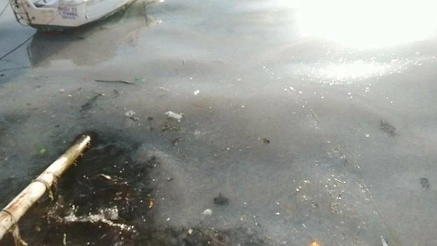 Beykoz’da denizin üstü yağ bağladı 2 deniz yag 5 pjjuPt5RiN
