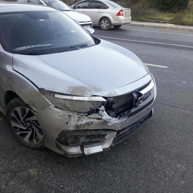 Beykoz’da domuza otomobil çarptı 1 domuz hab NEkASma51Y