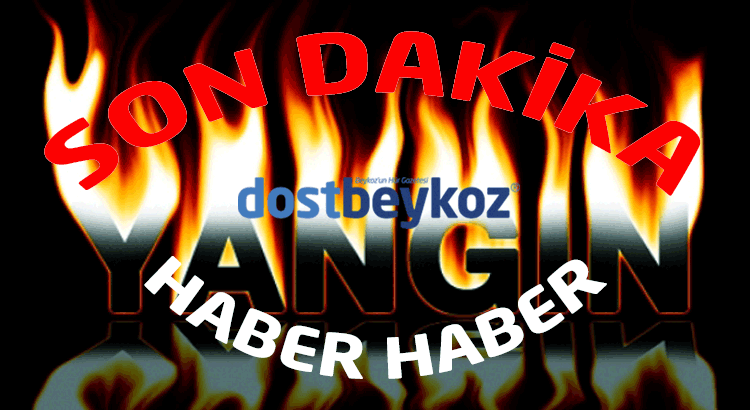 Beykoz Görele Mahallesi’nde yangın… 1 dost beykoz son dakika H8X4CImGMm