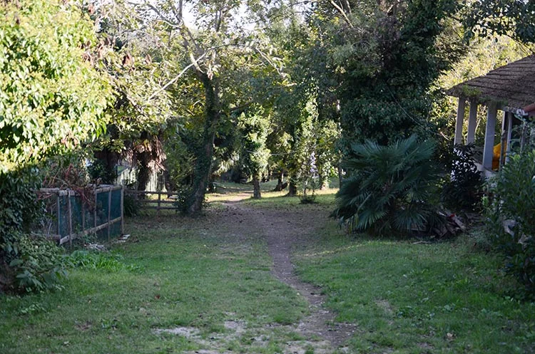 Erdoğan Polonya’ya Beykoz’dan kimi götürdü? 5 erdogan novvic Qh3LPMRfBB