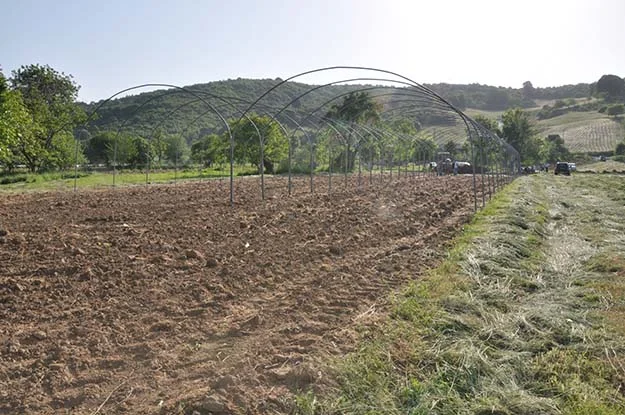 Beykoz'da görgüsüzlüğün belgesi bulundu! 3 g GhvQG1tKj0