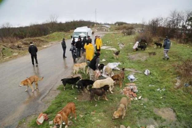 Gençlik Meclisi, Beykoz'u unutmadı 1 gencler beykoz u unutmad PYBXdJDhh8