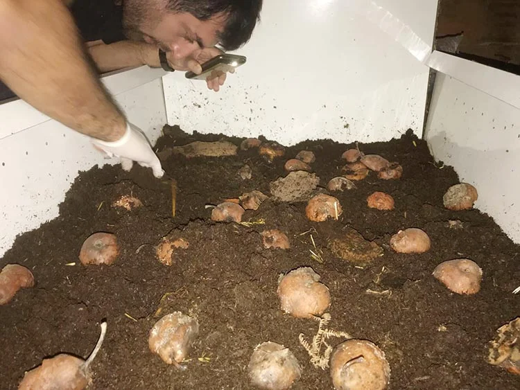 Beykoz’da solucandan gübre üretiliyor 2 gubre 2 apTH6RDb81