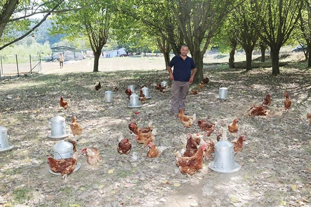 İETT’den Beykoz’un köylerine organik hat 3