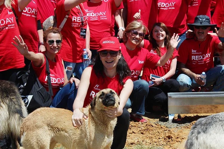 Hayvansever Beykoz dostları el uzattı 1
