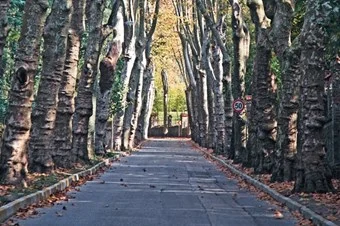 Beykoz’da bir tatlı huzur 4 huzur m69 t8zruo