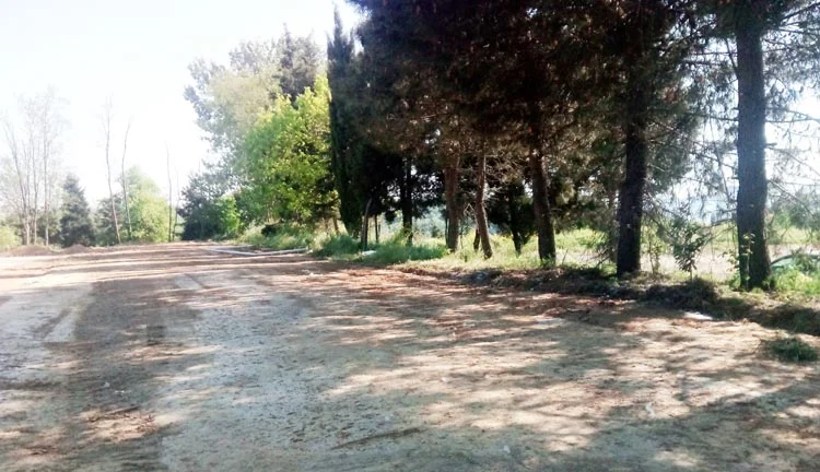 Beykoz Kanlıca'da çifte sevinç yaşanıyor 3 kanlica 2 7G WfrlO4l