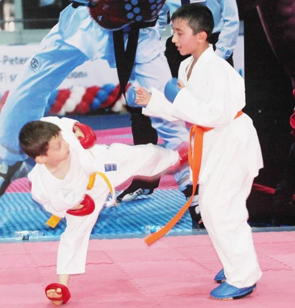 karate beyk 7TfHUw13ff