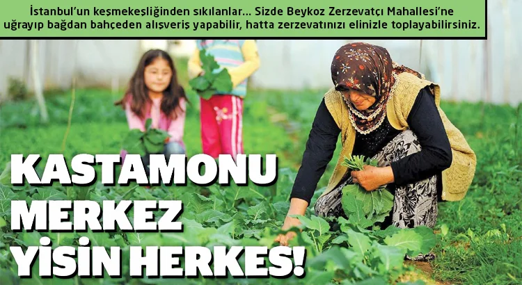 Beykoz’daki Kastamonu’yu biliyor musunuz? 1 kastamonu beykoz