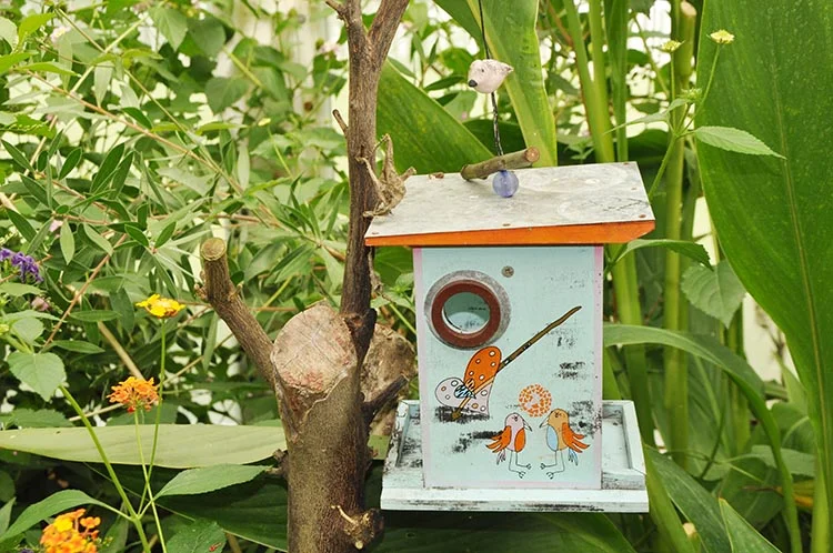 Kelebek Çiftliği, Beykoz'a katma değer sağlıyor 4 kelebek ciftlik 17 f4 SwWzLQm