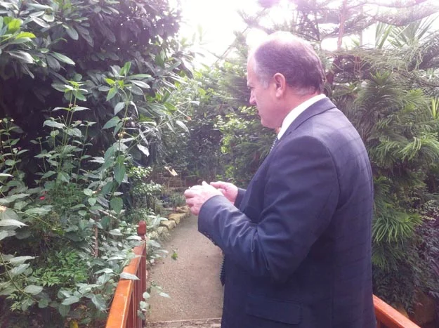 O, Beykoz'un 'Çelebi' Kaymakamı 2 kelebek k k d zcHs 0PKsf