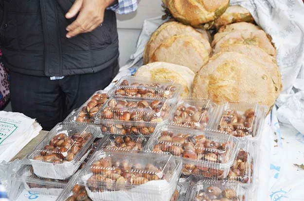Kastamonulular Beykoz'da kestane şenliği yaptı 1 kestan iOZKcqKLEU