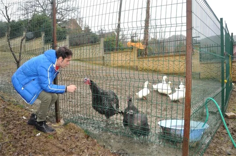 Sanatçı Kıraç Beykoz’da SİT Alanı duvarına çarptı… 1