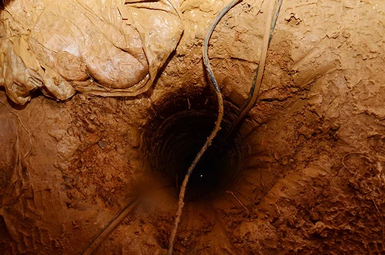 Türkiye’nin gündemi Beykoz’a kilitlendi... Sonuç yok! 1 kopek 2 XAcDTRoqJa