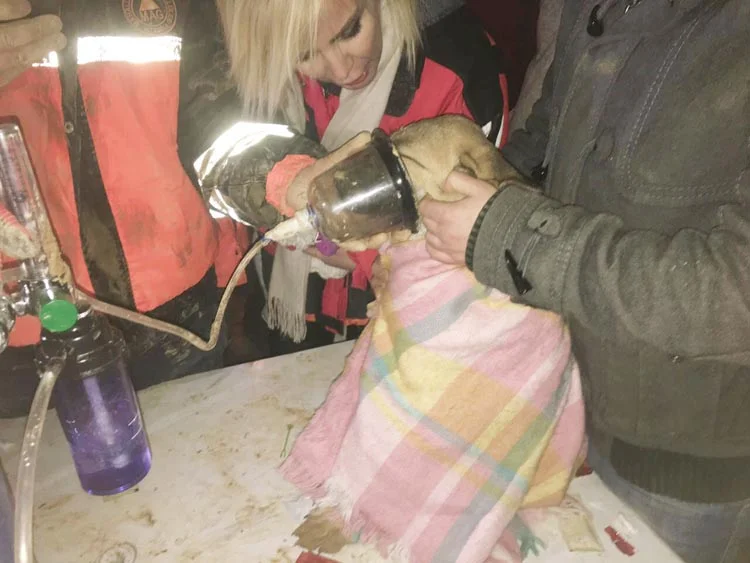 Beykoz'daki sondaj kuyusunda mutlu son 1 kopek haber 2 svLNGwKYWV