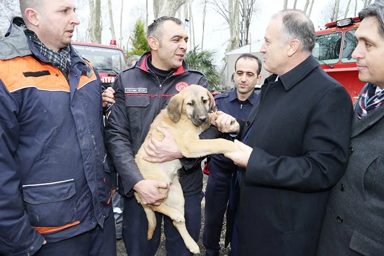 Beykoz’daki kurtarma operasyonunun detayları 4 kopek operasy fO es9coGM