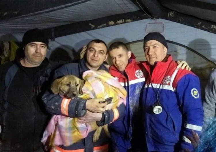 Beykoz’daki kurtarma operasyonunun detayları 2 kopek operasy zHNqePJiBY
