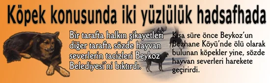 İki yüzlülük had safhada 1 kopekha rCVScppuzQ