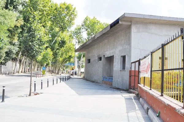 El koydular, çürümeye terk ettiler 1 kulup bi Tc14S40zzJ